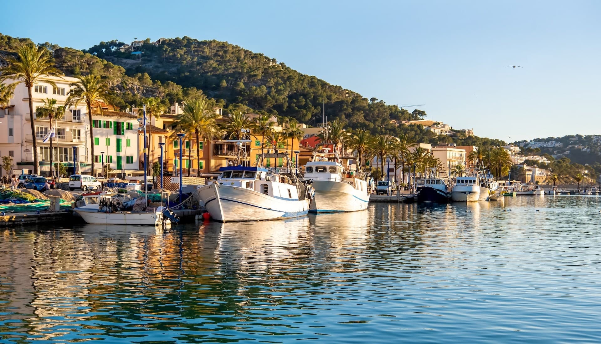 Living in Port D'Andratx