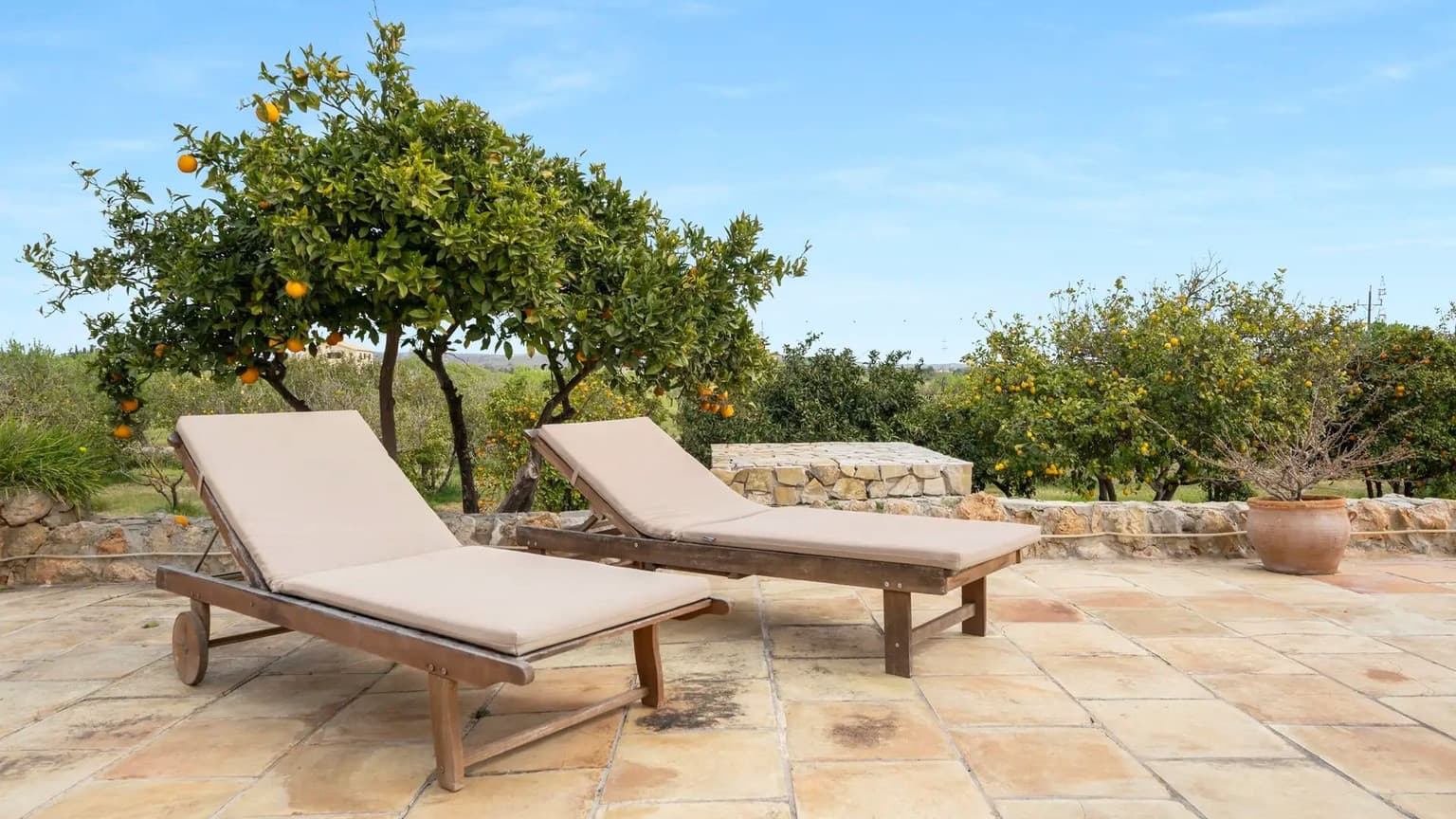 Rustic Finca Near Palma - Gallery image 41